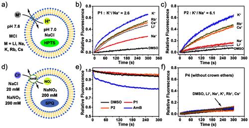 QQ图片20220901155313