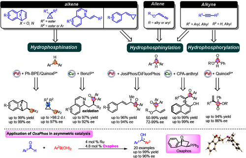 CFA68164-50D7-4008-91EE-DC9A8CCF43AA