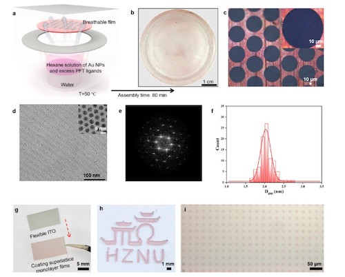 图1 基于界面第三相微环境构筑宏观大面积超晶格单层膜。