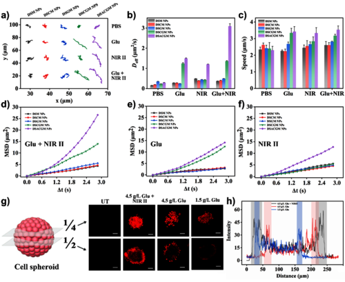 图 2. 纳米马达的运动行为表征