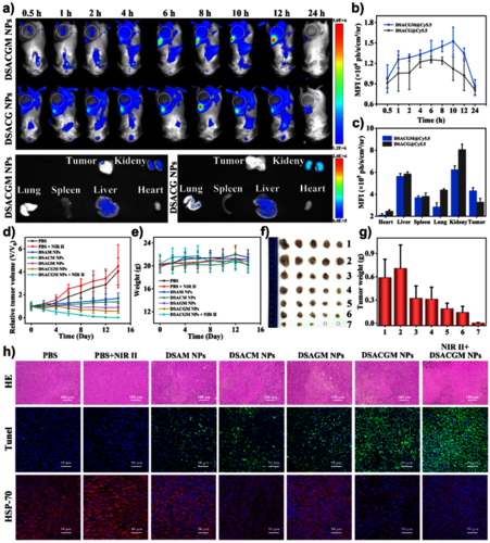 图 3. DSACGM NPs在4T1荷瘤小鼠模型中的体内疗效。