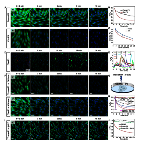 图 6. 可控的钾离子外流效率和细胞毒性研究。