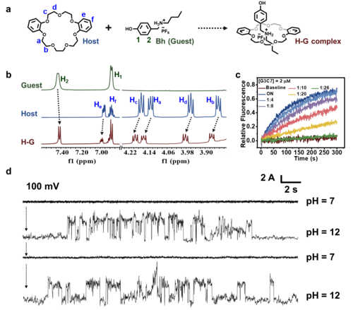 图3. 主客体复合机制验证和pH门控性质研究
